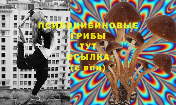 круглые Белокуриха